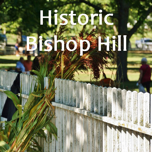 Historic Bishop Hill park picket fence and sorghum