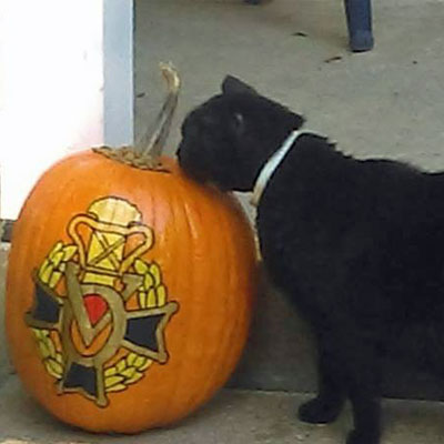 Halloween at Vasa Archives in Bishop Hill with pumpkin and black cat.